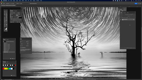 Gambar pohon dikonversi ke bitmap